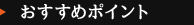 おすすめポイント